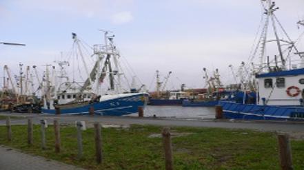 Buesum_Hafen