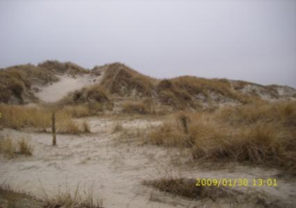 St_Peter_Ording